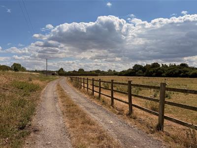 Picture 18